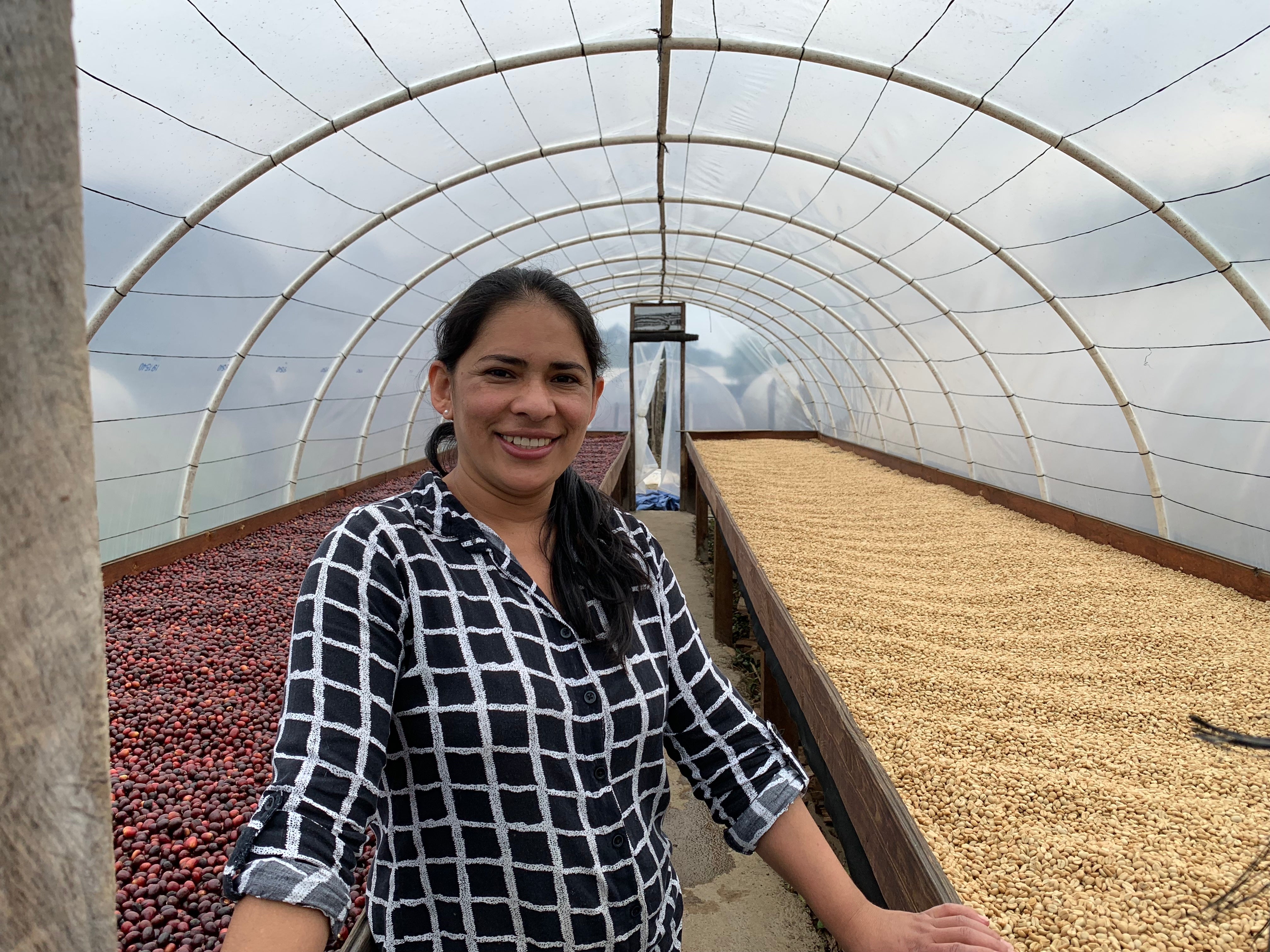 Colombia Decaf Huila Pink Bourbon
